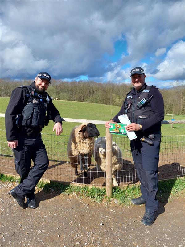 livestock worry